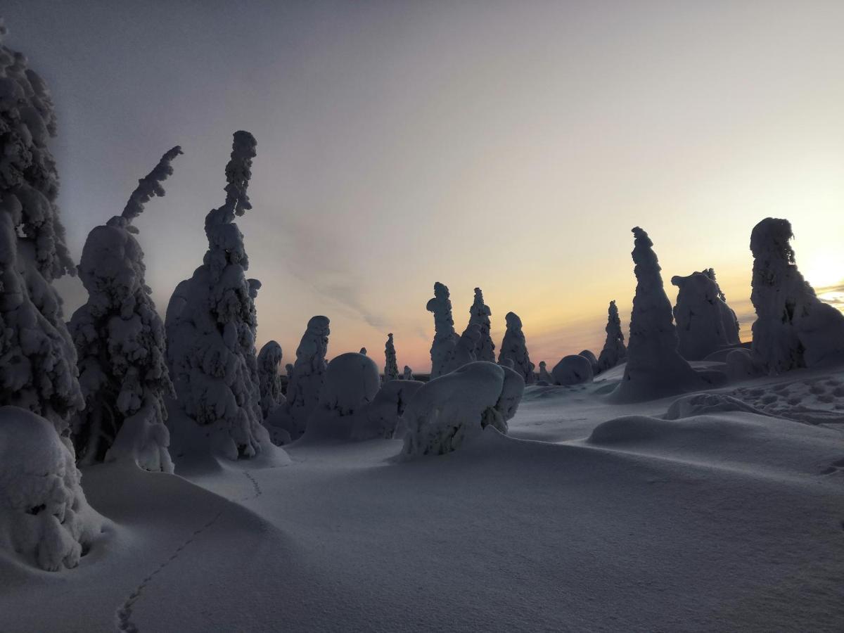 Kelokallas 2 Ruka Dış mekan fotoğraf