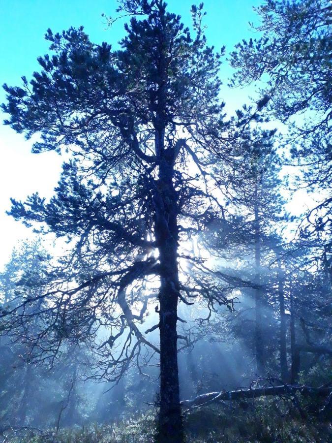 Kelokallas 2 Ruka Dış mekan fotoğraf